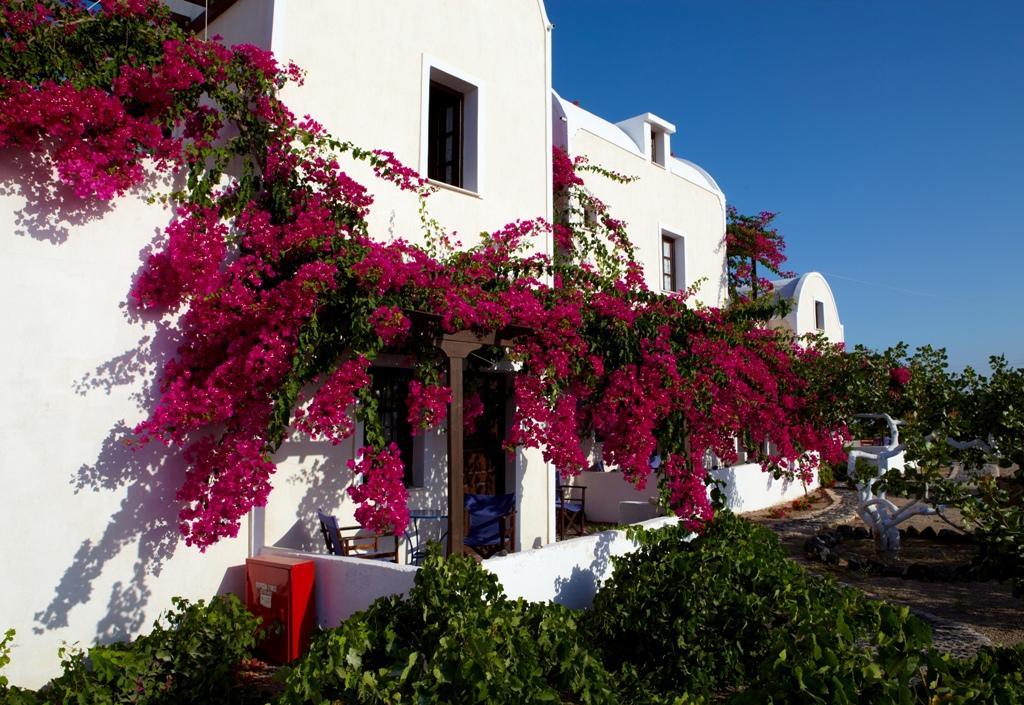 Anna Traditional Hotel apartamentowy