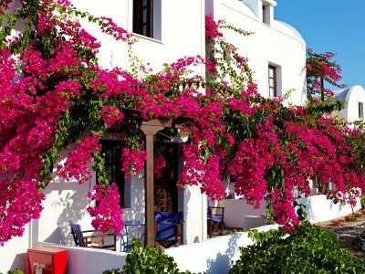 Anna Traditional Aparthotel 2*